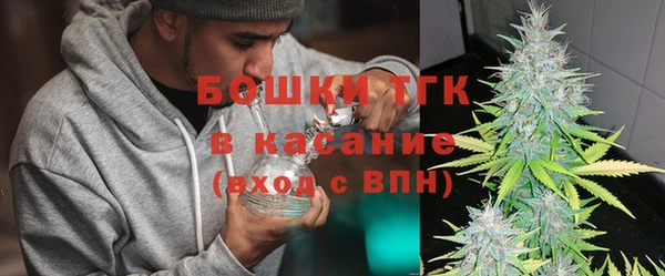 мет Алексин