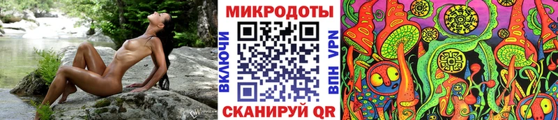 где найти   Щёлкино  Псилоцибиновые грибы MAGIC MUSHROOMS 
